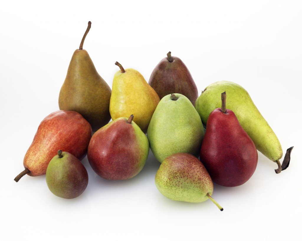 Ten Varieties of USA Pears