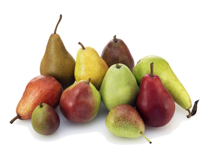 Ten Varieties of USA Pears KO sm