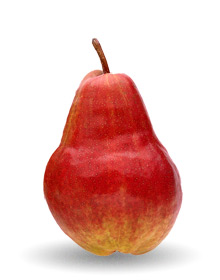 Pear Varieties List | Guide to Ten Pear Types | USA Pears