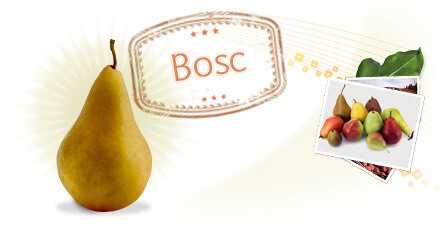 bosc