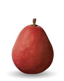 Pear Varieties List | Guide to Ten Pear Types | USA Pears