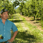 Pear grower Randy Kiyokawa in his Oregon orchard