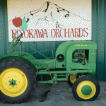 Kiyokawa Orchards Oregon Tractor