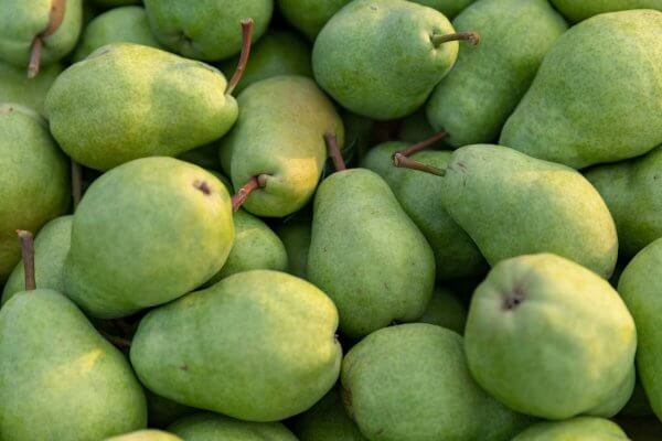 Potential Health Benefits Of Pear Consumption Usa Pears 